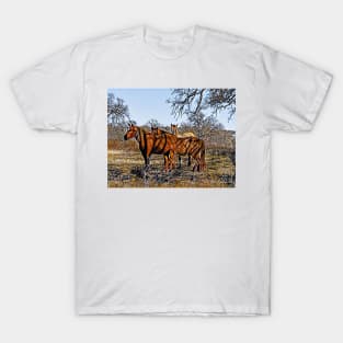 Wild Horses  -  Graphic 1 T-Shirt